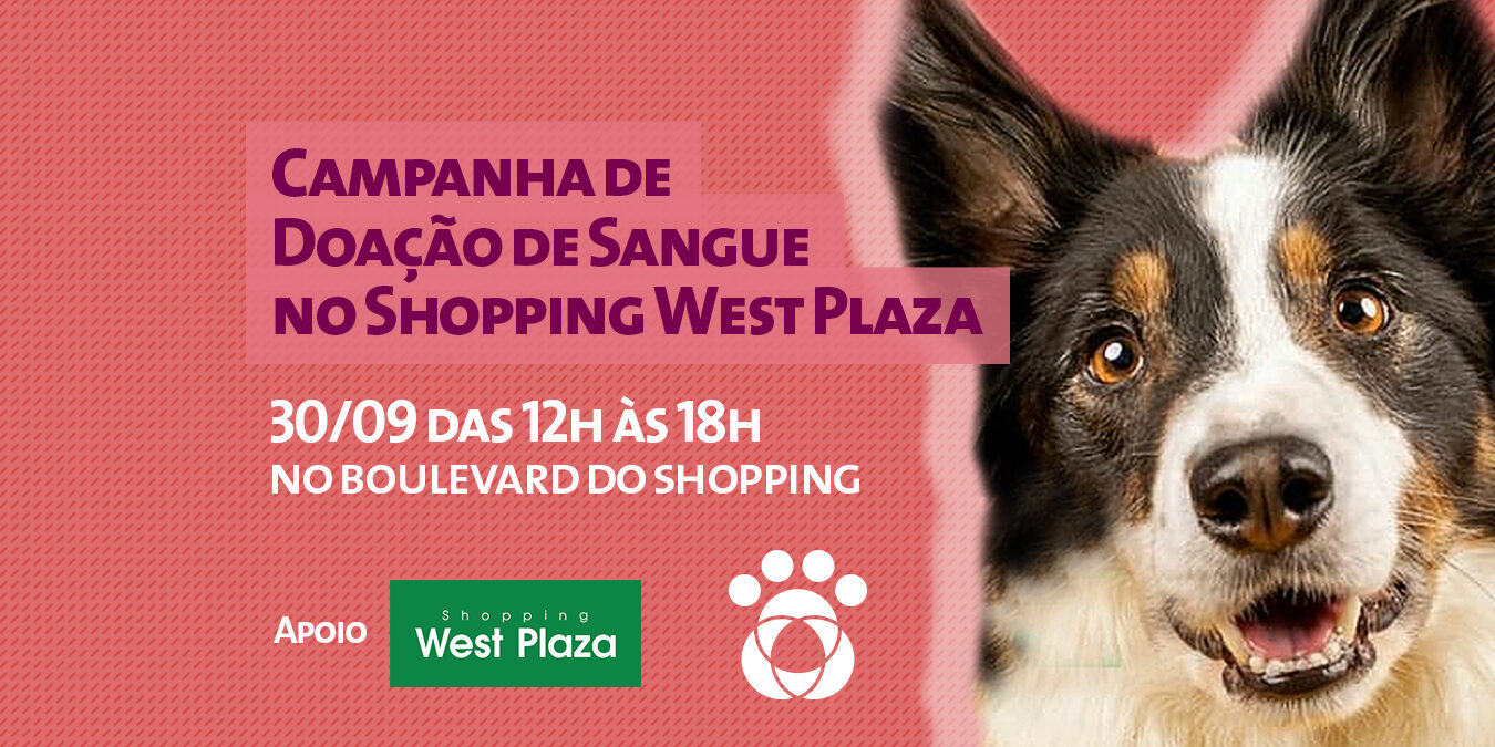 2020_09_00_campanha_westplaza_BLOG