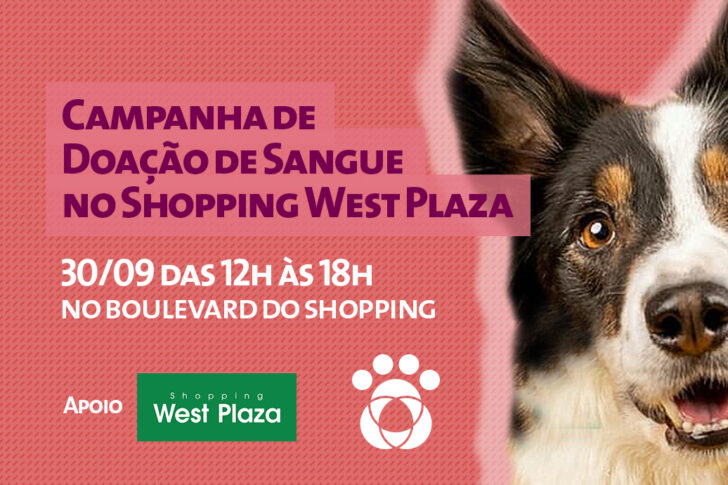 2020_09_00_campanha_westplaza_BLOG