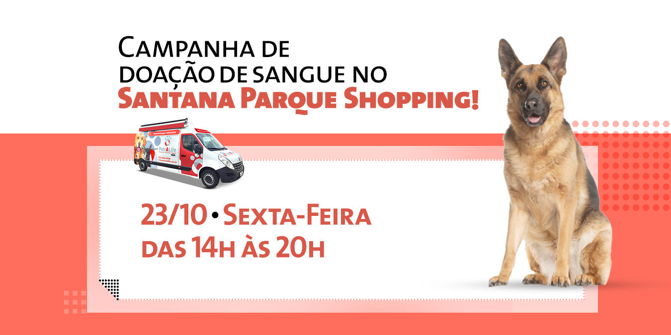 2020_10_EVENTO_santana-parque-shopping_BLOG